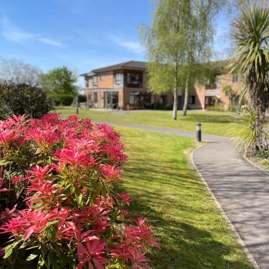 maintenance contracts bristol v2 large Garden Maintenance contracts bristol with Symbol Gardens