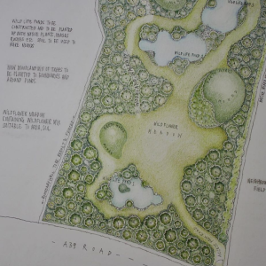 Landscape construction Bristol design plans and Bristol Garden Design